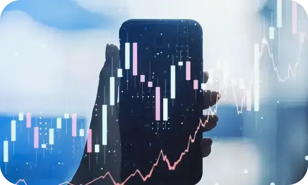 Fenix Rendório investimento automatizado